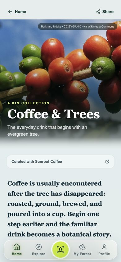 Coffee and Trees curated anthology in Kin